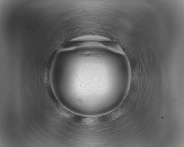 X0000073490139200608140852