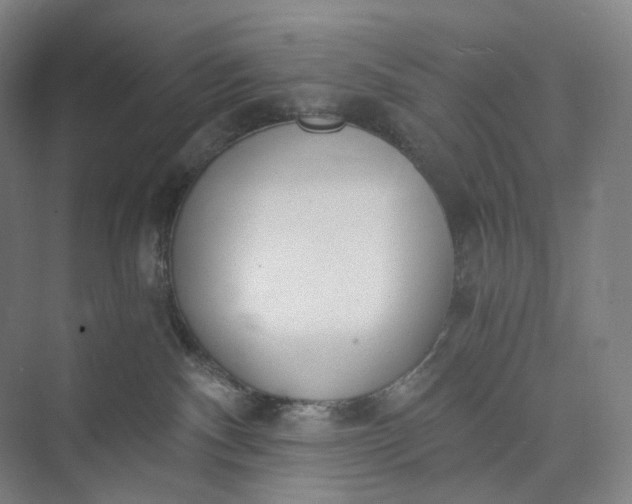 X0000073490140200608140852