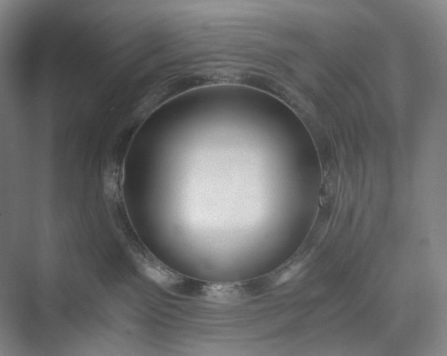 X0000073490141200608140852