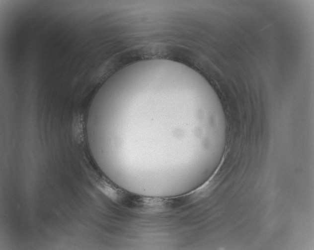 X0000073490144200608140852