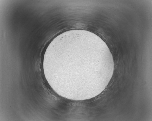 X0000073490146200608140851