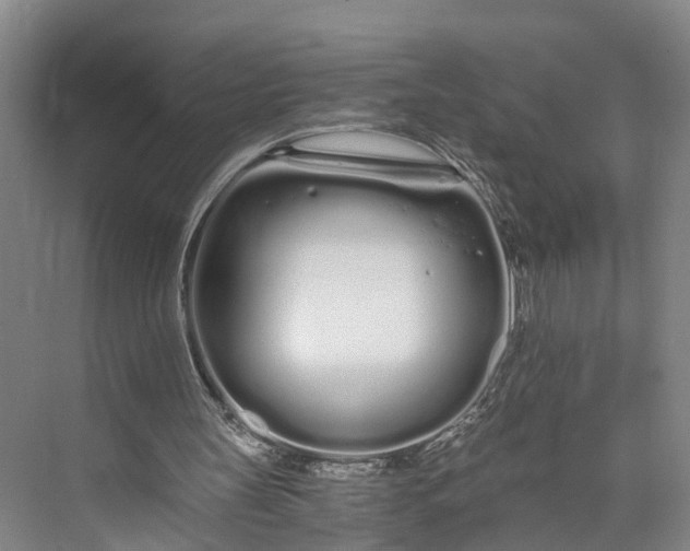 X0000073490147200608140851