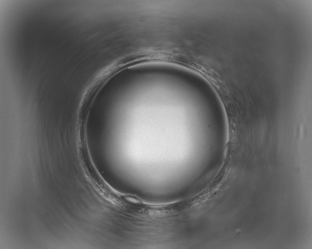 X0000073490149200608140851