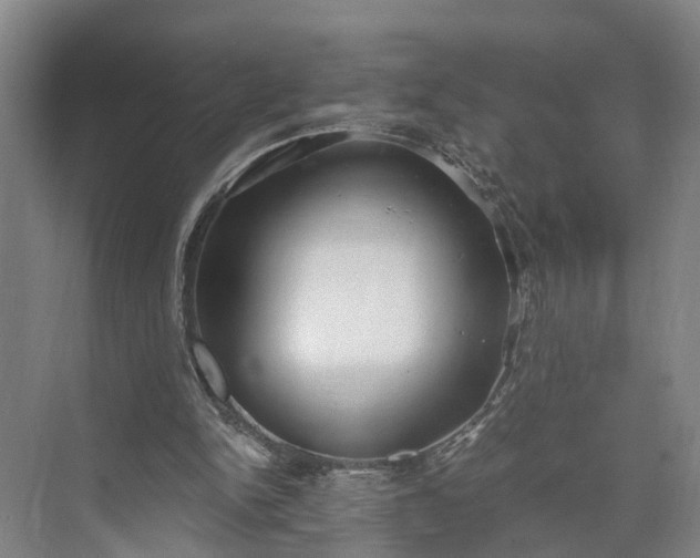 X0000073490150200608140851