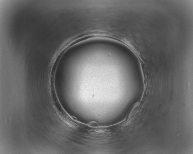 X0000073490151200608140851