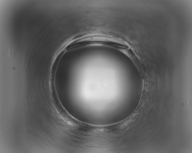 X0000073490152200608140851