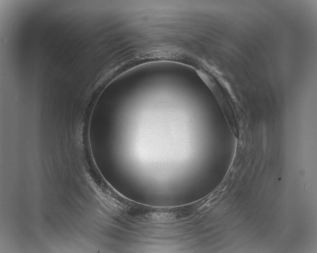 X0000073490154200608140851