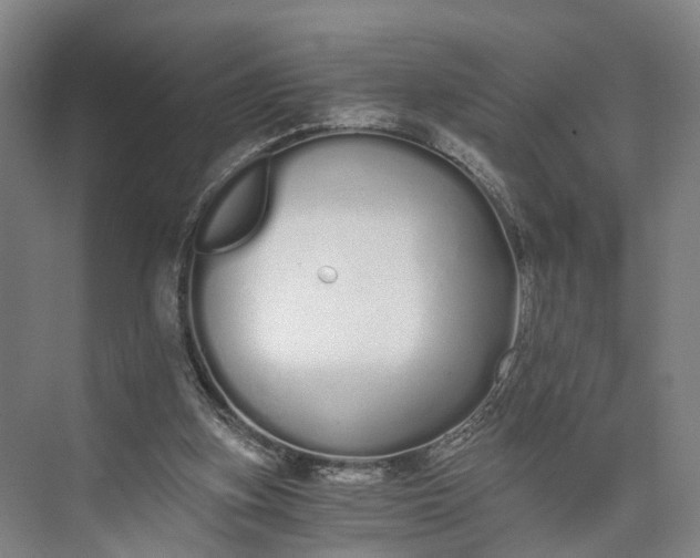 X0000073490155200608140851