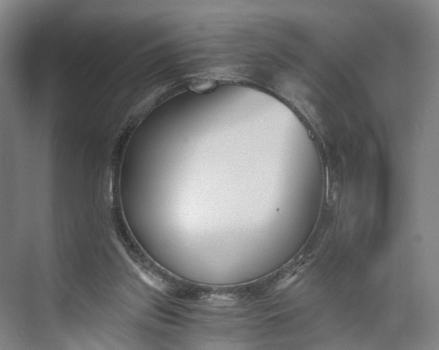 X0000073490157200608140851