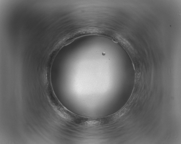 X0000073490158200608140851