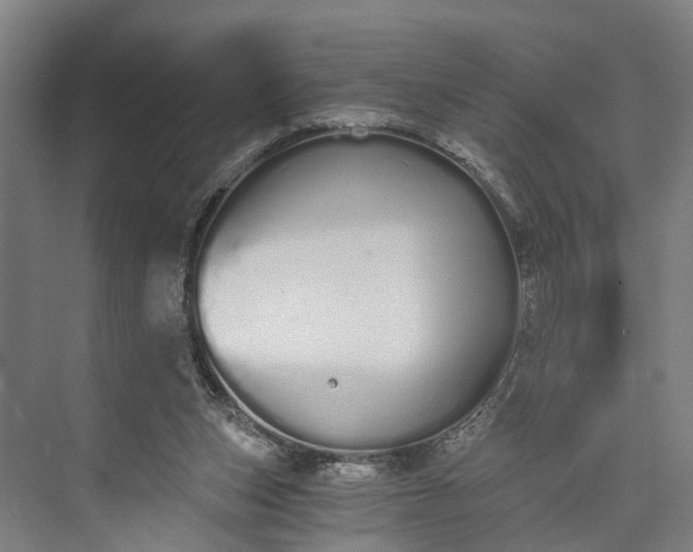 X0000073490159200608140851