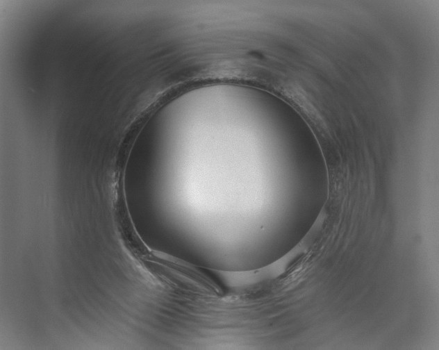 X0000073490160200608140851