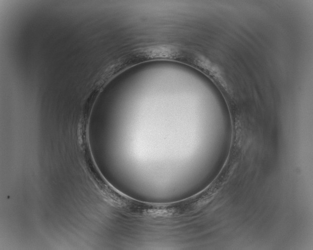 X0000073490161200608140851