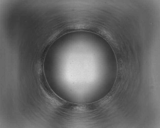 X0000073490164200608140851