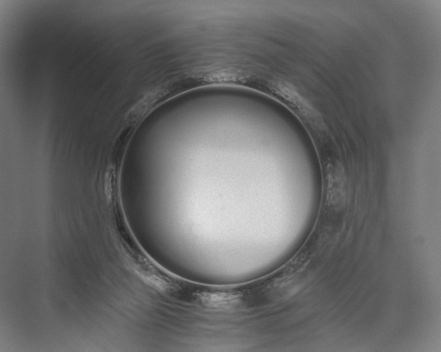 X0000073490165200608140851