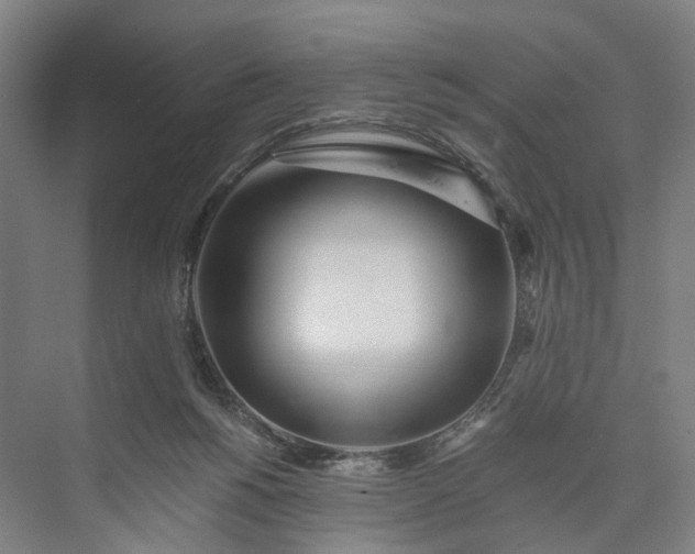 X0000073490168200608140851