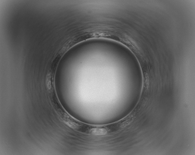 X0000073490169200608140851