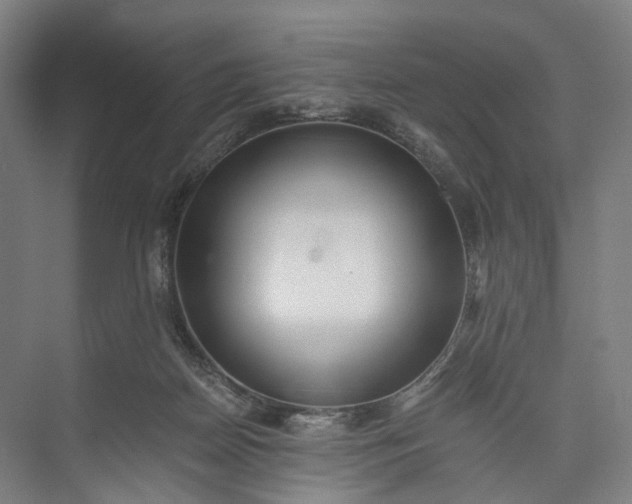 X0000073490170200608140851