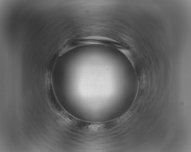 X0000073490172200608140851