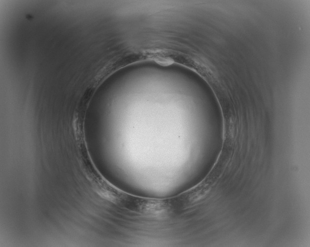 X0000073490173200608140851