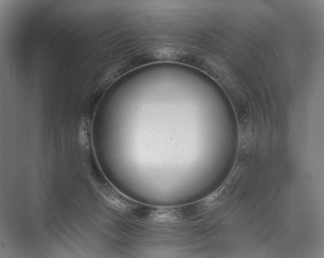 X0000073490175200608140851