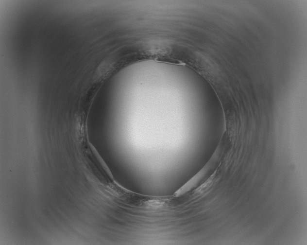 X0000073490176200608140851