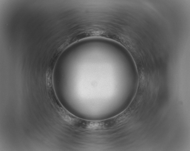 X0000073490177200608140851