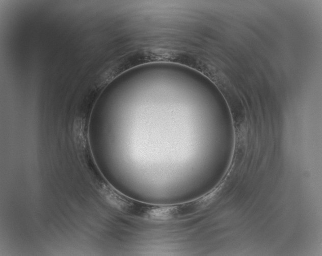 X0000073490178200608140851