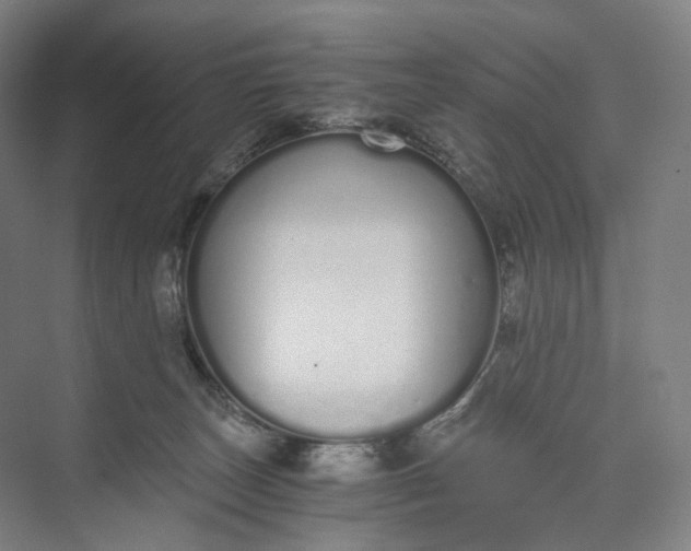 X0000073490179200608140851