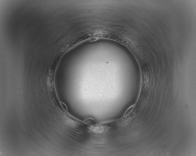 X0000073490181200608140851