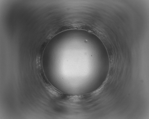 X0000073490182200608140851