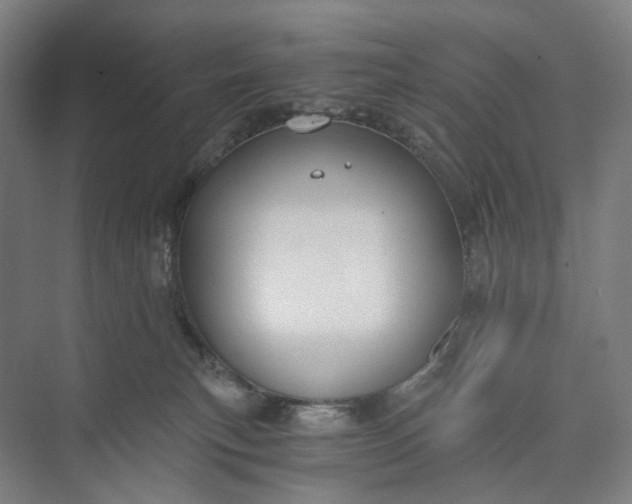 X0000073490183200608140851