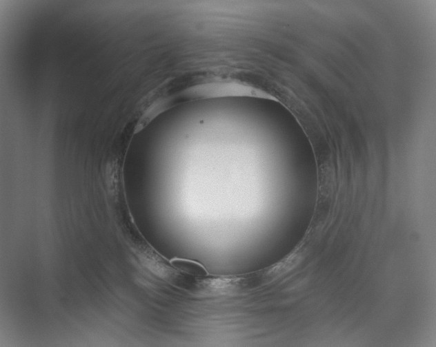 X0000073490184200608140852