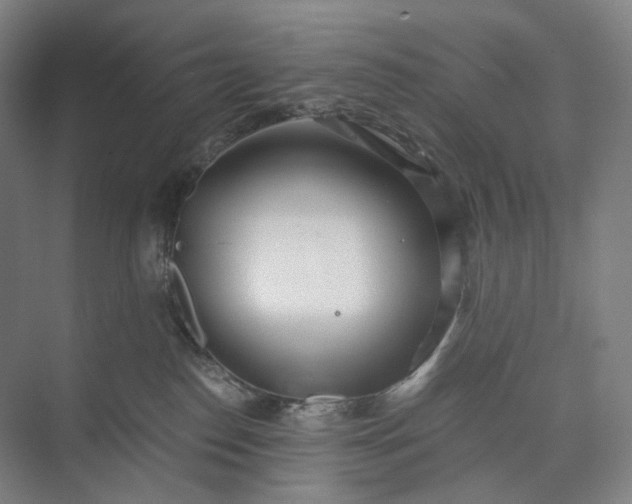 X0000073490186200608140852