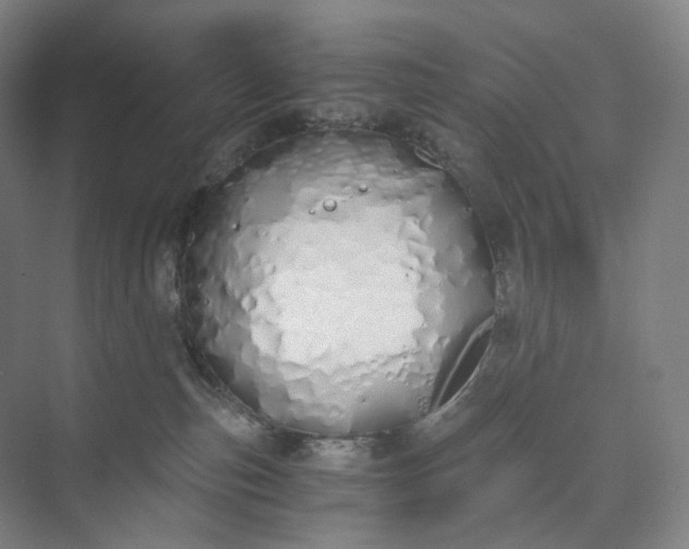 X0000073490187200608140852