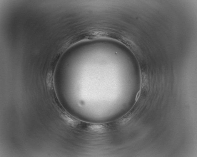 X0000073490189200608140852