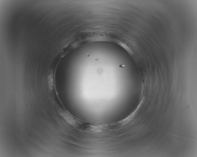 X0000073490190200608140852