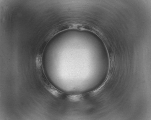 X0000073490191200608140852