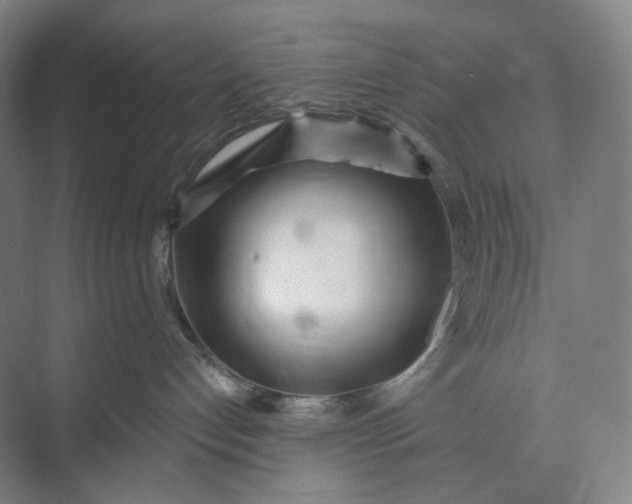 X0000073490192200608140852