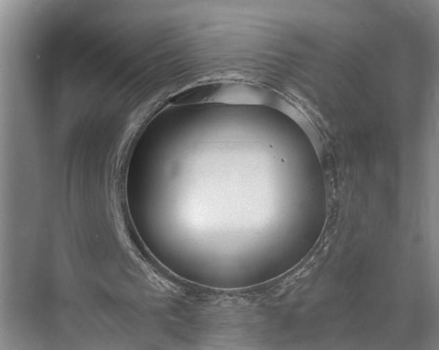 X0000073490193200608140851