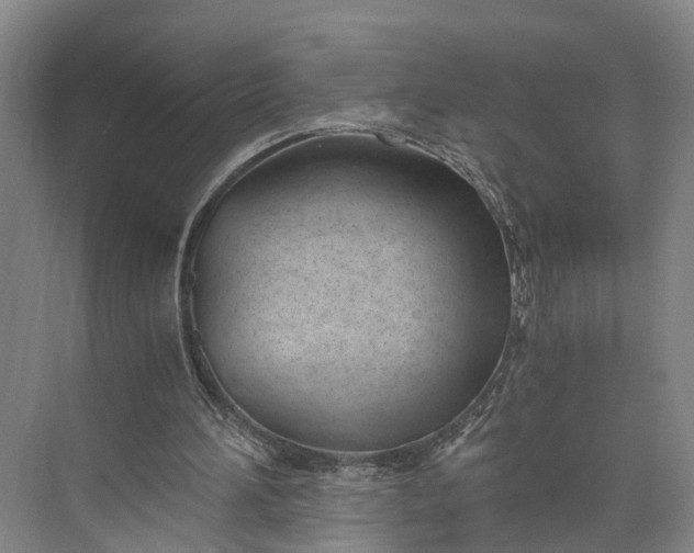 X0000073490196200608140851