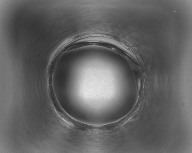 X0000073490197200608140851