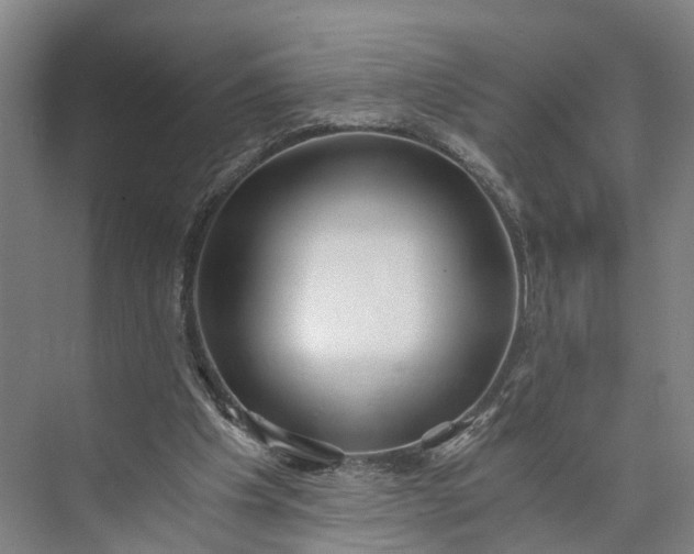 X0000073490201200608140851