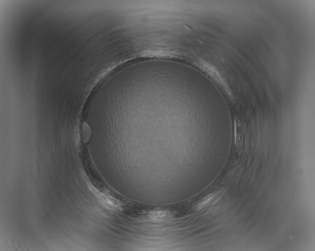 X0000073490204200608140851