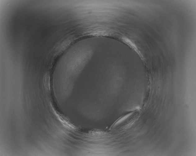 X0000073490205200608140851