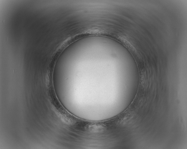 X0000073490208200608140851