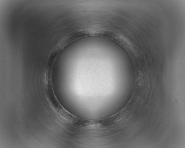 X0000073490210200608140851