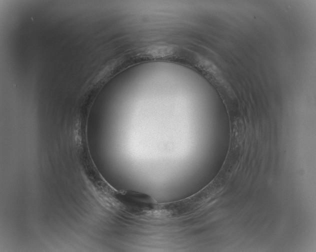 X0000073490212200608140851