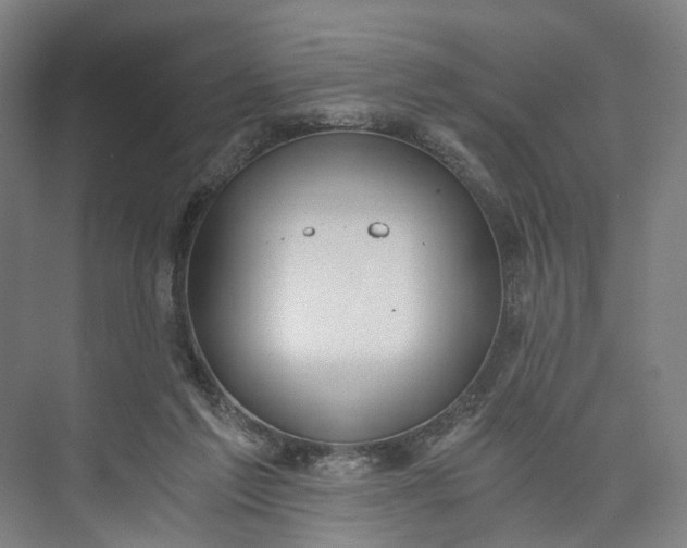 X0000073490213200608140850