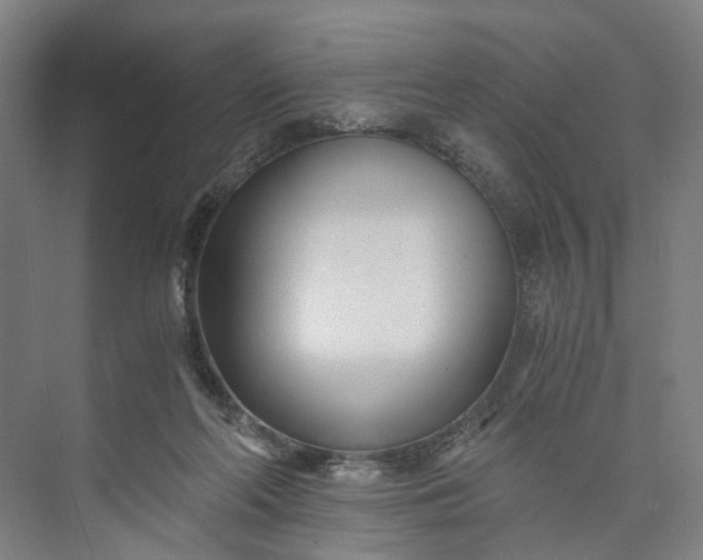 X0000073490214200608140850